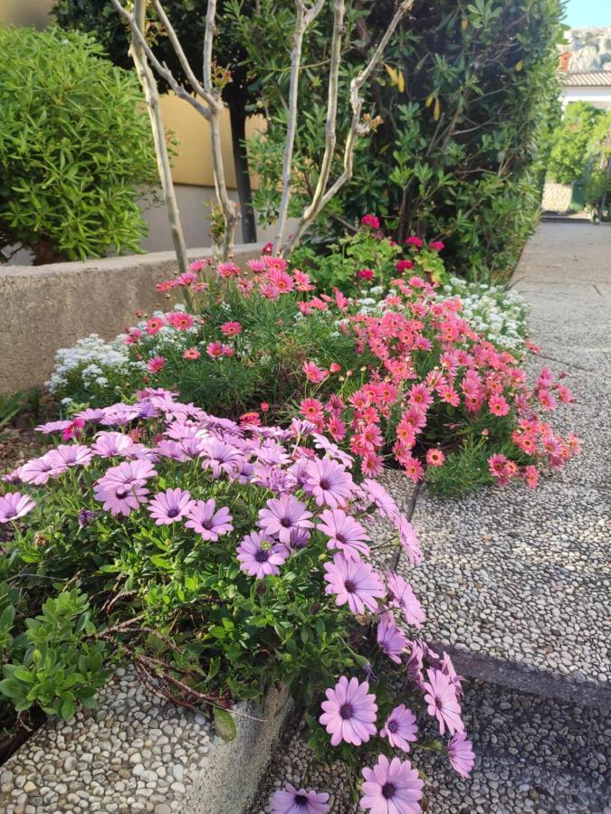 Apartments Kraljic バスカ エクステリア 写真